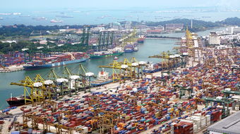 国际海运货运价格一览表（国际海运货运价格一览表2022年）